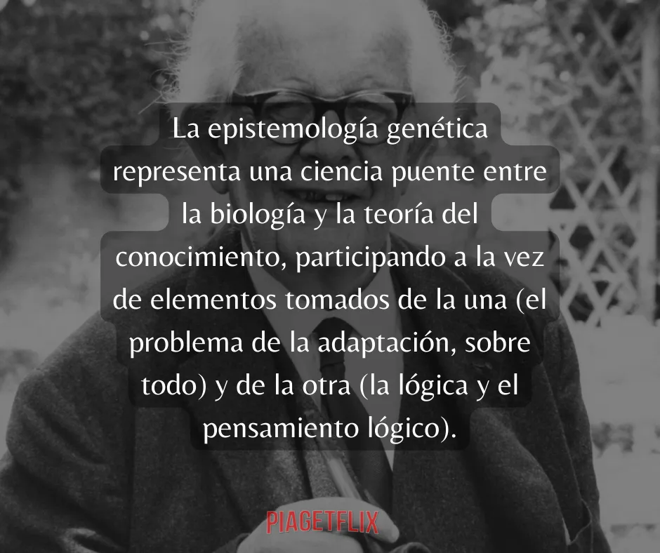 20de Nov Glosario Piagetflix