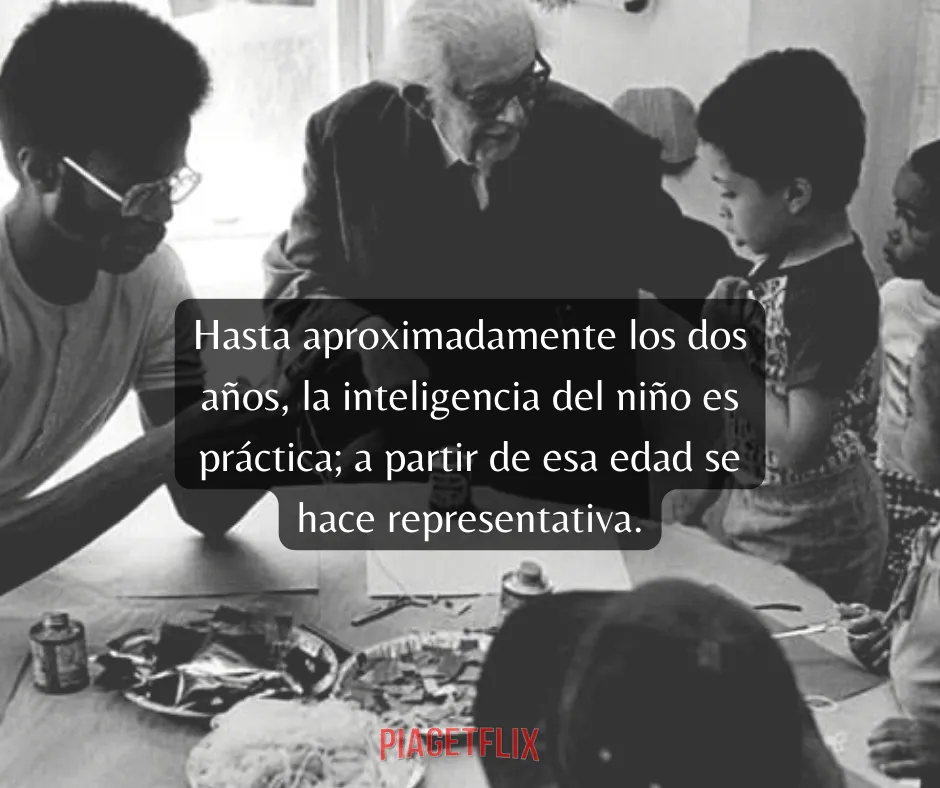 29denov Glosario Piagetflix