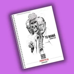 Neurocuadernos Psicopedagógicos Modelo Freud